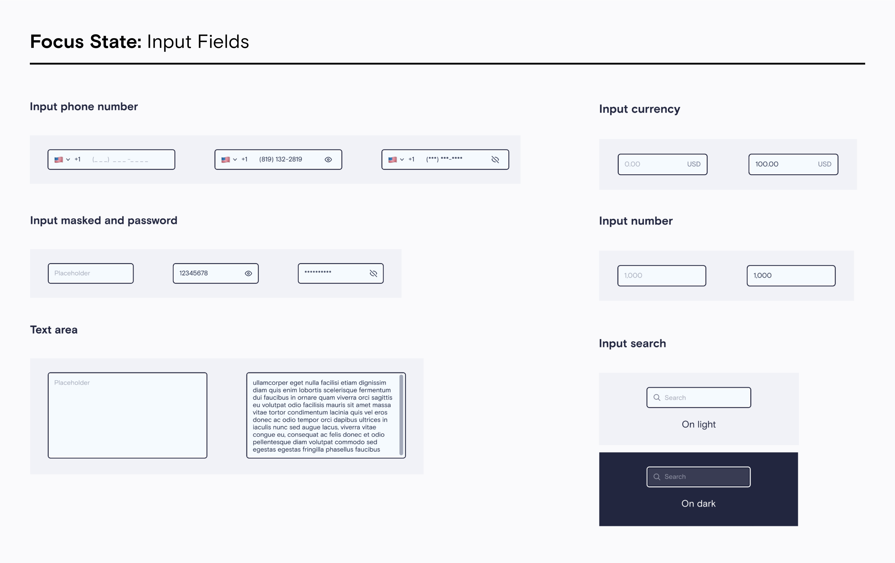 Input fields — accessible states and focus treatment